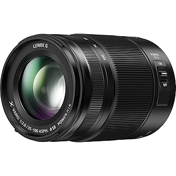 デジタルカメラ Panasonic LUMIX G X VARIO 35-100mm F2.8 交換レンズ実写ギャラリー：パナソニックLUMIX G X VARIO 35